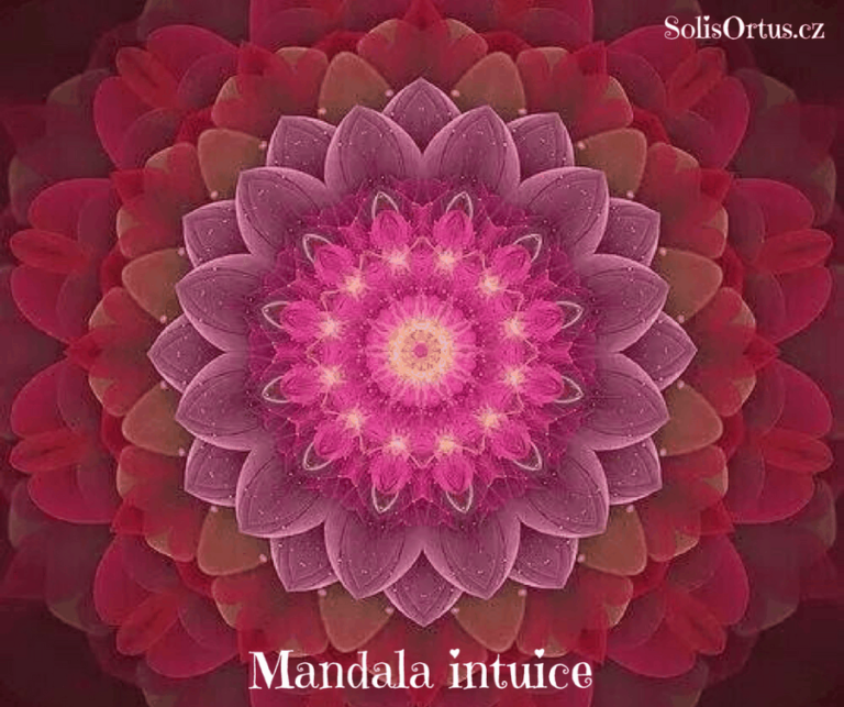 Mandala intuice